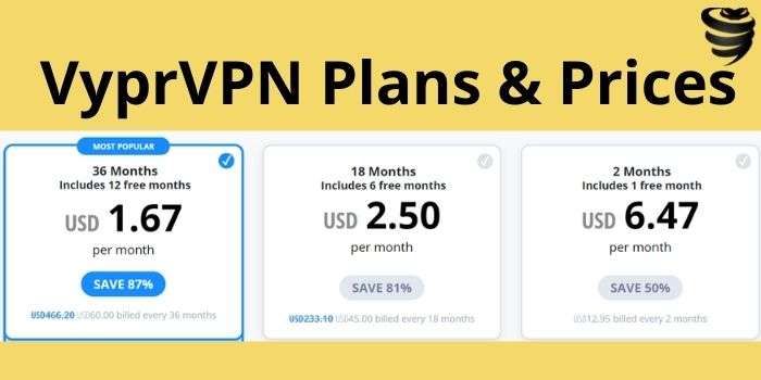 How much Doest VyprVPN Cost